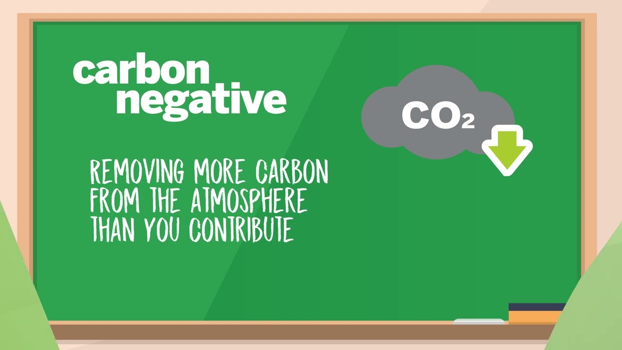 renewableenergy&carbon-thumbnail